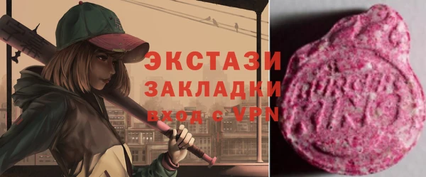 стаф Каменка