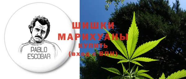 стаф Каменка
