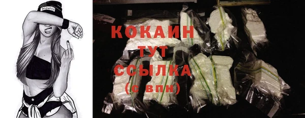 стаф Каменка