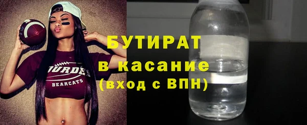 стаф Каменка