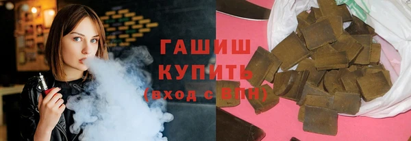 стаф Каменка