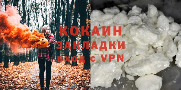 стаф Каменка