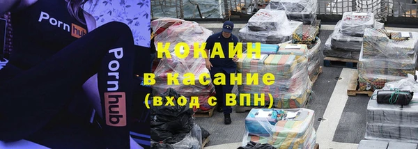 стаф Каменка