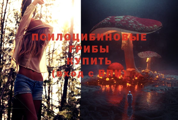 дмт Каменск-Шахтинский