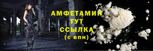 стаф Каменка