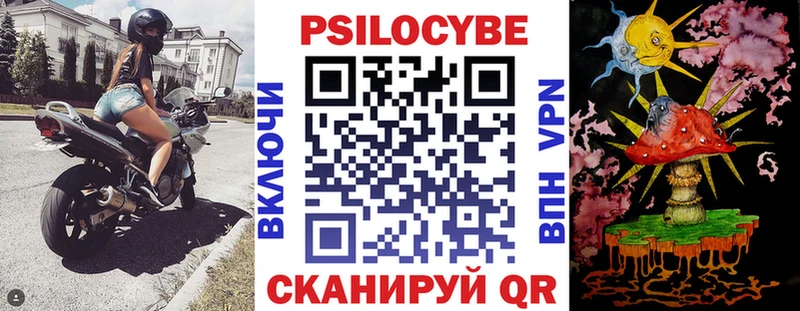 Купить закладки  Камызяк  Галлюциногенные грибы мухоморы 